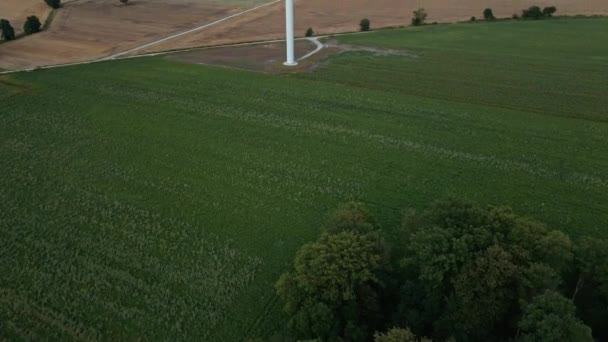 Turbine éolienne sur le terrain le jour de l'été. Générateur éolien rotatif — Video