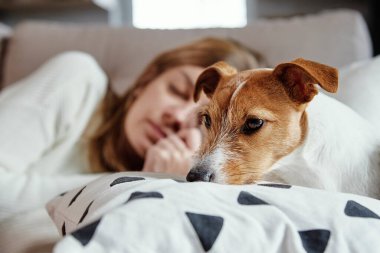 Kadınlar kanepede köpeklerle uyur.