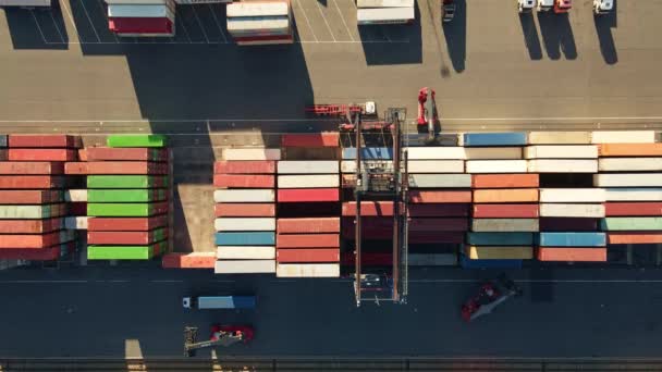 Magazyn kontenerów, widok z lotu ptaka. Transport morski i koncepcja logistyczna — Wideo stockowe