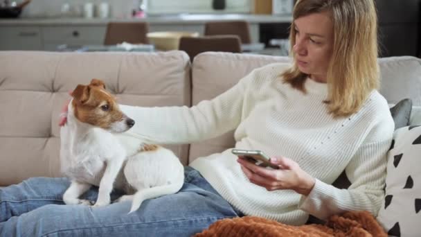 Kadın köpekle oturur ve akıllı telefon kullanır. — Stok video