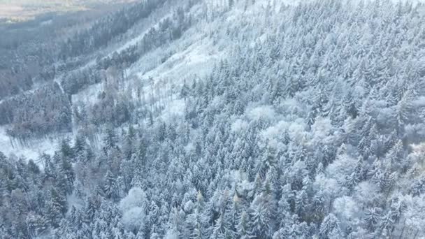 Luftaufnahme von Bergen mit schneebedecktem Wald — Stockvideo