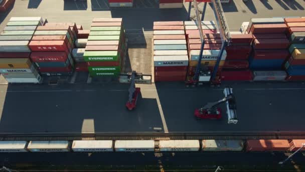 Skladiště kontejnerů, letecký výhled. Přepravní a logistický koncept — Stock video