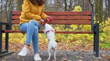 Sonbahar parkında köpeği olan bir kadın.