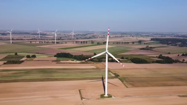 代替再生可能エネルギーの概念は フィールド内の風車 回転式風車発電機の空中図 — ストック動画