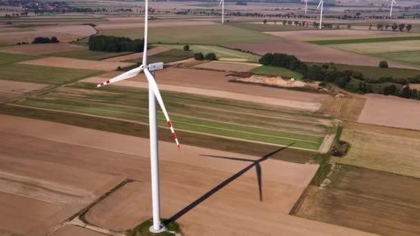 Відновлювана енергетика, вітряна турбіна в полі — стокове відео