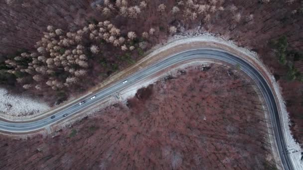 Landscape with winding road through forest, aerial view — Stockvideo