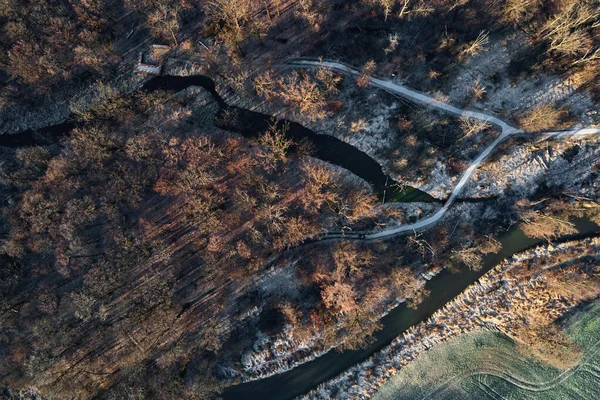 Vista aérea de árboles forestales coloridos, fondo de la naturaleza — Foto de Stock