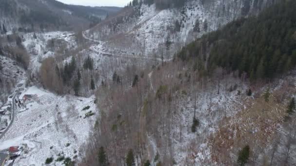 Widok z lotu ptaka góry pokryte śnieżnym lasem — Wideo stockowe