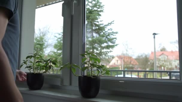 Persianas Ventana Cubierta Del Hombre Sala Estar Protección Privacidad Con — Vídeos de Stock