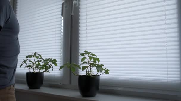 Man open window blinds in living room — Stock Video