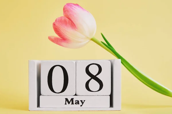 日期为5月8日的木制日历和黄色背景的郁金香花 母亲节概念 — 图库照片