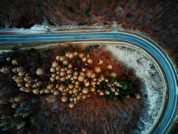 Winding Road Forest Landscape Curvy Highway Countryside Aerial View — Fotografia de Stock