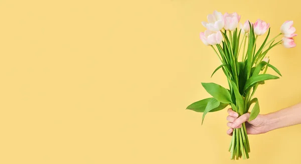 Букет цветов тюльпана в женской руке на желтом фоне — стоковое фото