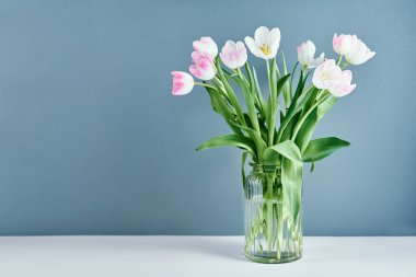 Mavi arka planda vazoda lale çiçekleri.