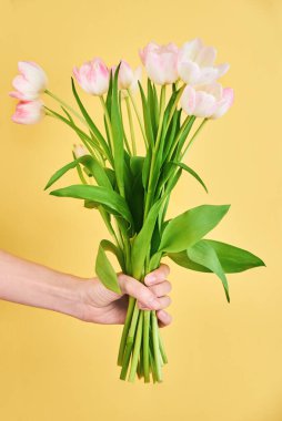 Lale çiçekleri sarı arka planda bir kadın elinde.