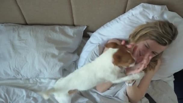 Γυναίκα κοιμάται στο κρεβάτι και παίζει με το σκύλο της — Αρχείο Βίντεο
