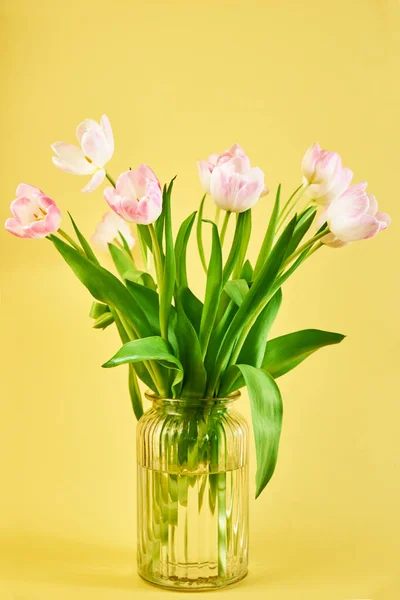 Букет Цветов Тюльпан Вазе Желтом Фоне Hello Spring Woman Mother — стоковое фото