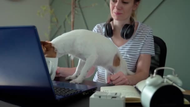 Mujer Perro Sentados Junto Mesa Trabajando Casa Sala Estar Con — Vídeo de stock