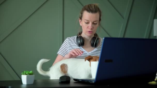Femme travaille à distance au bureau à la maison avec son chien — Video