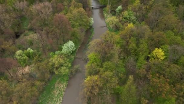 Вид з повітря весняної річки посеред зеленого лісу — стокове відео