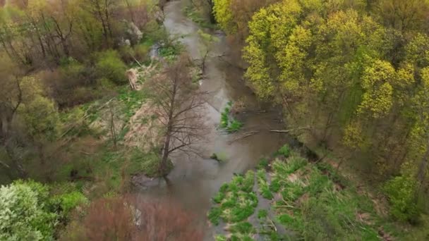 Vzdušný pohled na jarní řeku uprostřed zeleného lesa — Stock video