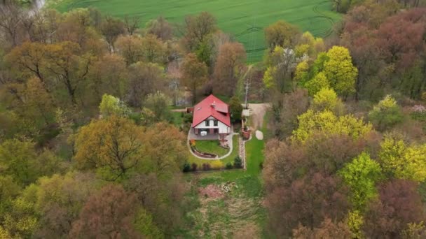 Aerial view of alone house in nature — Stockvideo