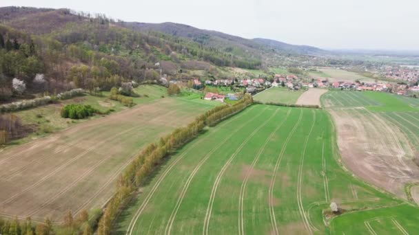 Village de montagne au milieu des champs verdoyants, vue aérienne. — Video