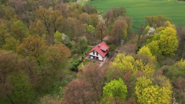 Vista aérea de casa sozinha na natureza — Vídeo de Stock