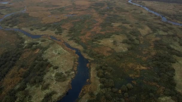 Rivière courbe dans la vallée des prairies, vue aérienne — Video