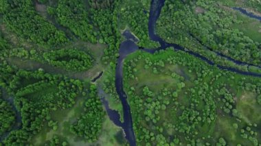 Meadow Valley 'deki kıvrık nehir, hava manzarası.