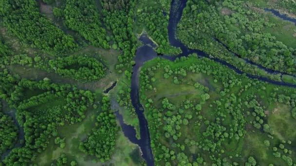 Gebogen rivier in weidedal, uitzicht op de lucht — Stockvideo