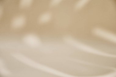 Tropikal palmiye yapraklı soyut arkaplan bej duvarda gölge, kopya alanı, yaz konsepti, düz yatış olan yaratıcı minimal tasarım