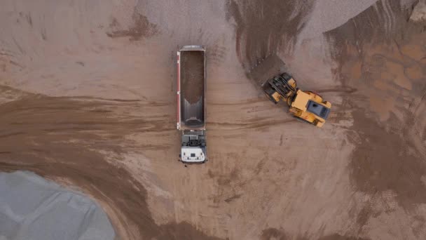 Secchio Escavatore Carica Terreno Nella Parte Posteriore Del Camion Grandi — Video Stock