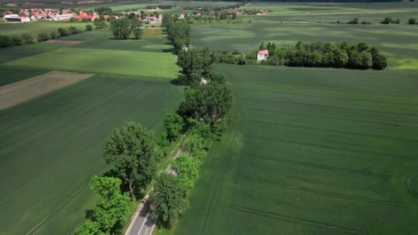 Tarımsal Tarlalar Arasında Kırsal Yolda Hareket Eden Arabaların Hava Görüntüsü — Stok video