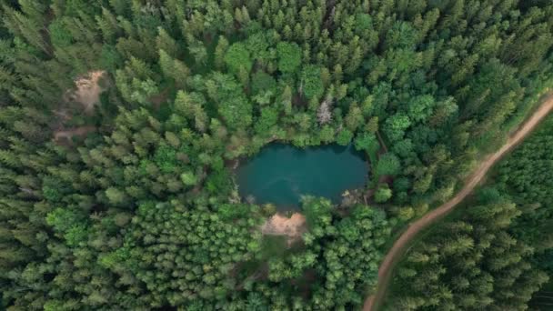 Lago Azul Meio Floresta Verde Vista Aérea Lago Colorido Selvagem — Vídeo de Stock
