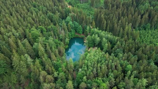 Голубое Озеро Посреди Зеленого Леса Вид Воздуха Дикое Красочное Озеро — стоковое видео