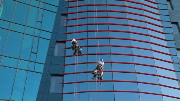 Two Workers Cleaning Window Business Center Industrial Alpinists Washing Exterior — Stock Video