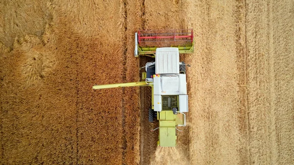 Combineer Oogstmachine Verzamelen Gouden Tarweveld Oogstmachine Werken Landbouwveld Oogstseizoen — Stockfoto