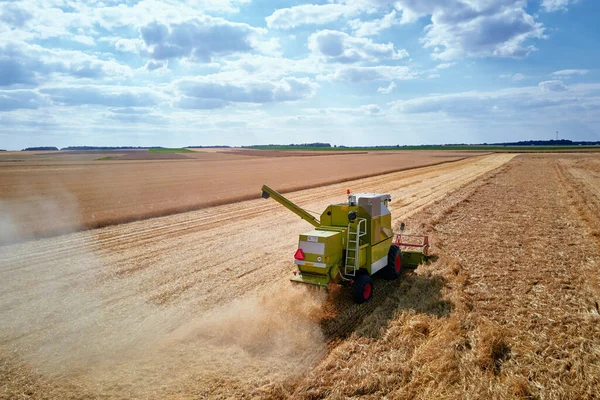 Combine Harvester Coleta Campo Trigo Dourado Máquina Colheita Trabalhando Campo — Fotografia de Stock