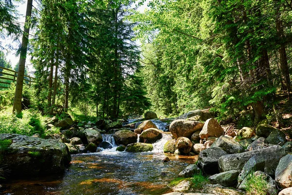 Lomnica River Karpacz Mountains Poland Fast Mountain Cascade River Stones — Stockfoto