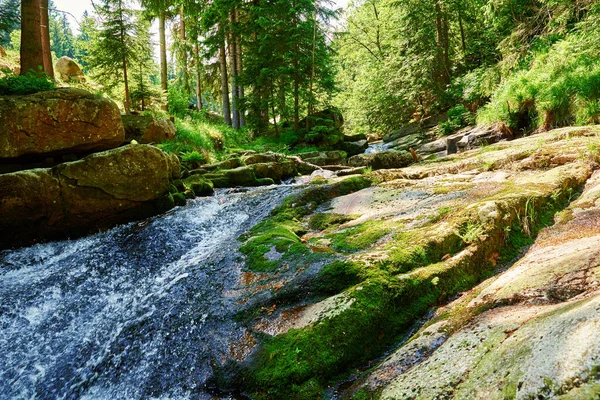 Lomnica Fluss Karpacz Gebirge Polen Schnelle Gebirgskaskade Fluss Mit Steinen — Stockfoto