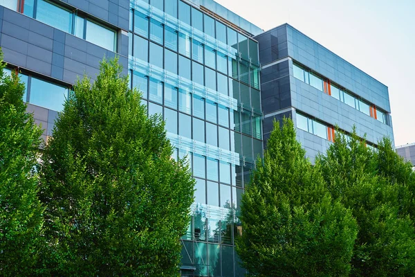 Glass Facade Buiding Green Trees Modern Office Building City Business — Photo