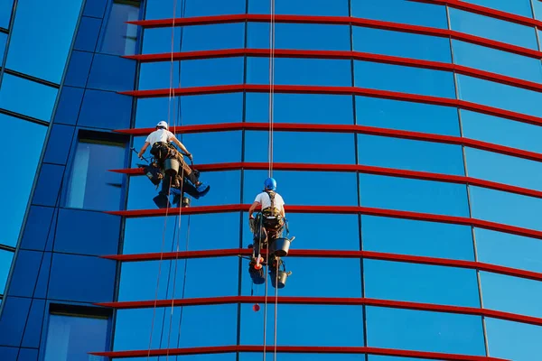 Two workers cleaning window in business center, Industrial alpinists washing exterior of skyscraper, Dangerous risky work at height, Cleaning service