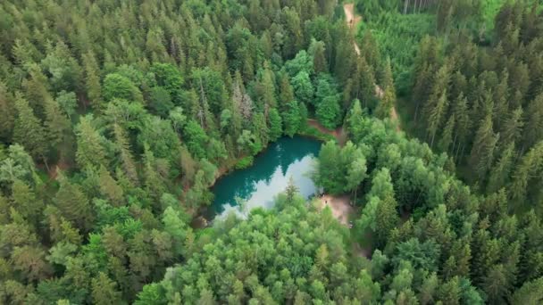 緑の森 空中ビューの真ん中に青い湖 ポーランドの山公園で野生のカラフルな湖 美しい自然景観 — ストック動画
