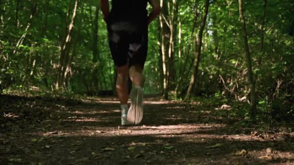 Male Runner Jogging Park Back View Sport Wearing Man Running — Wideo stockowe