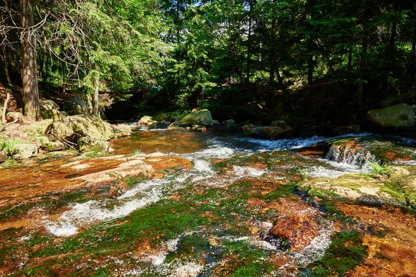Lomnica Fluss Karpacz Gebirge Polen Schnelle Gebirgskaskade Fluss Mit Steinen — Stockfoto