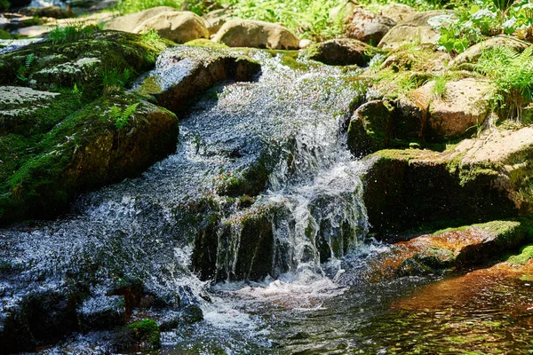 Lomnica River Karpacz Mountains Poland Fast Mountain Cascade River Stones — Foto de Stock