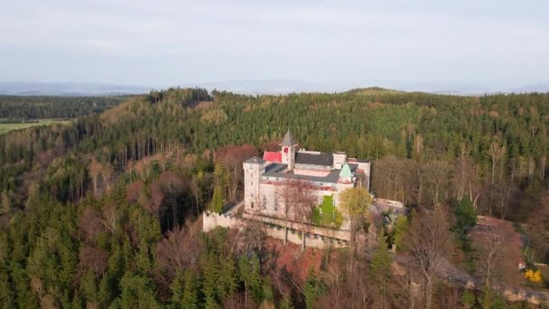 Αεροφωτογραφία Του Lesna Skala Castle Στο Szczutna Πολωνία Παλιό Φρούριο — Αρχείο Βίντεο