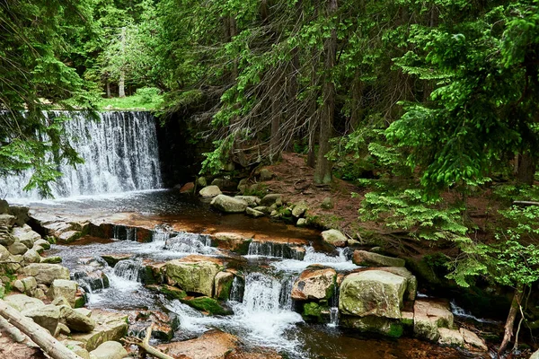 Wasserfall Fluss Lomnica Karpacz Gebirge Polen Schöne Naturlandschaft — Stockfoto