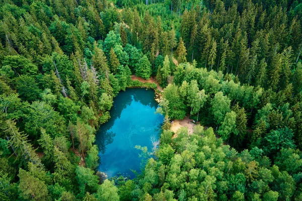 Blauer See Mitten Grünen Wald Luftaufnahme Wilder Bunter See Bergpark — Stockfoto